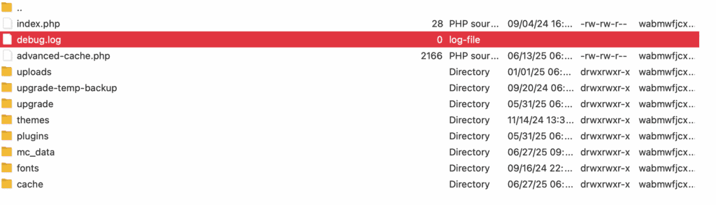 Debug log
